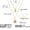 P122-39+5cm, variant on Dainty Chain Necklace 14K Gold Plated Station Choker Necklace Non Tarnish Small Cute Clover Flower CZ Diamond Necklaces Jewelry for Women Gifts