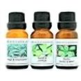 thumbnail image 3 of Crazy Candles 3 Bottles Set, 1 Sage & Ch, 3 of 3