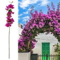 thumbnail image 2 of Under $10 Artificial Bougainvillea Vine, Hot Pink Fake Climbing Flower, Artificial Flowers Branches Flowers Vines for Home，Garden，Wedding，，Indoor And Outdoor， Arrangement And Diy Decor, 2 of 6