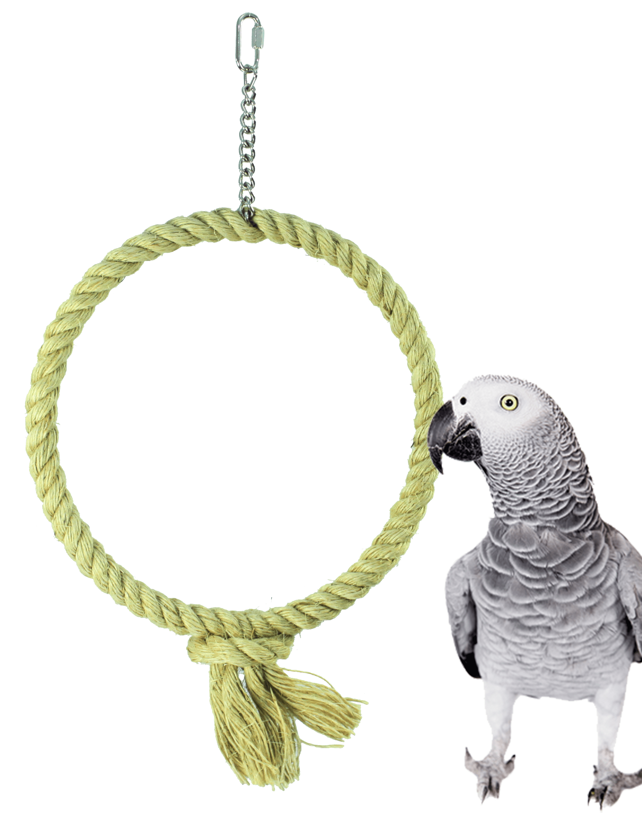 bird rope swing