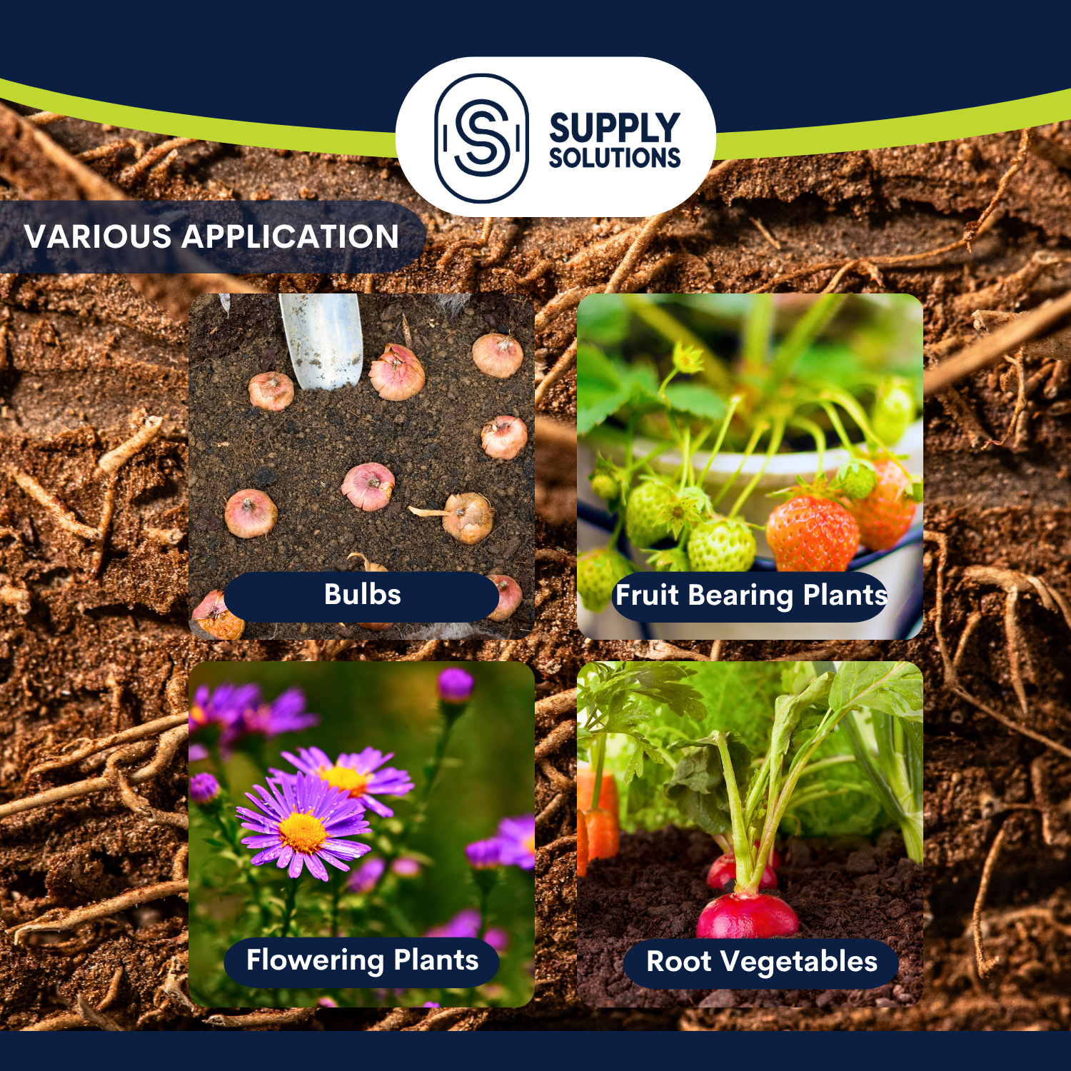 Supply Solutions Pacific Bounty Organic Fish Bone Meal Fertilizer 6-13-0 - Plus 14% Calcium for Plants Root Development- High Phosphorus Plant Food for Tomatoes, Flowers, Bulbs, Veggies (5lbs)