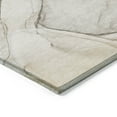 thumbnail image 4 of Addison Rugs Chantille Indoor/Outdoor Transitional Watercolors Beige Washable Rectangle Rug, 3' x 5', 4 of 6