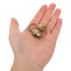 thumbnail image 5 of BESTYASH 20Ud Creativas Para Collar De Perro Y Con Accesorio Y Resistente, 5 of 8