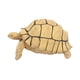 thumbnail image 2 of Figura de tortuga, juguete de tortuga, juguete educativo simulado, juego de tortuga pequeña Beige, 2 of 9