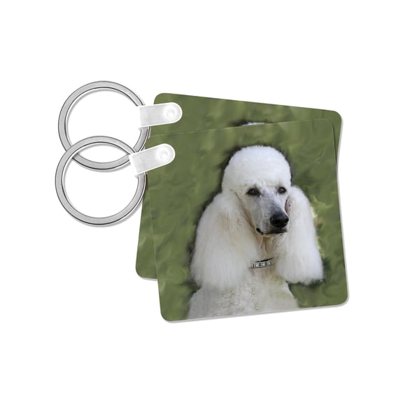 3dRose, Standard Poodle, set of 2 Key Chains