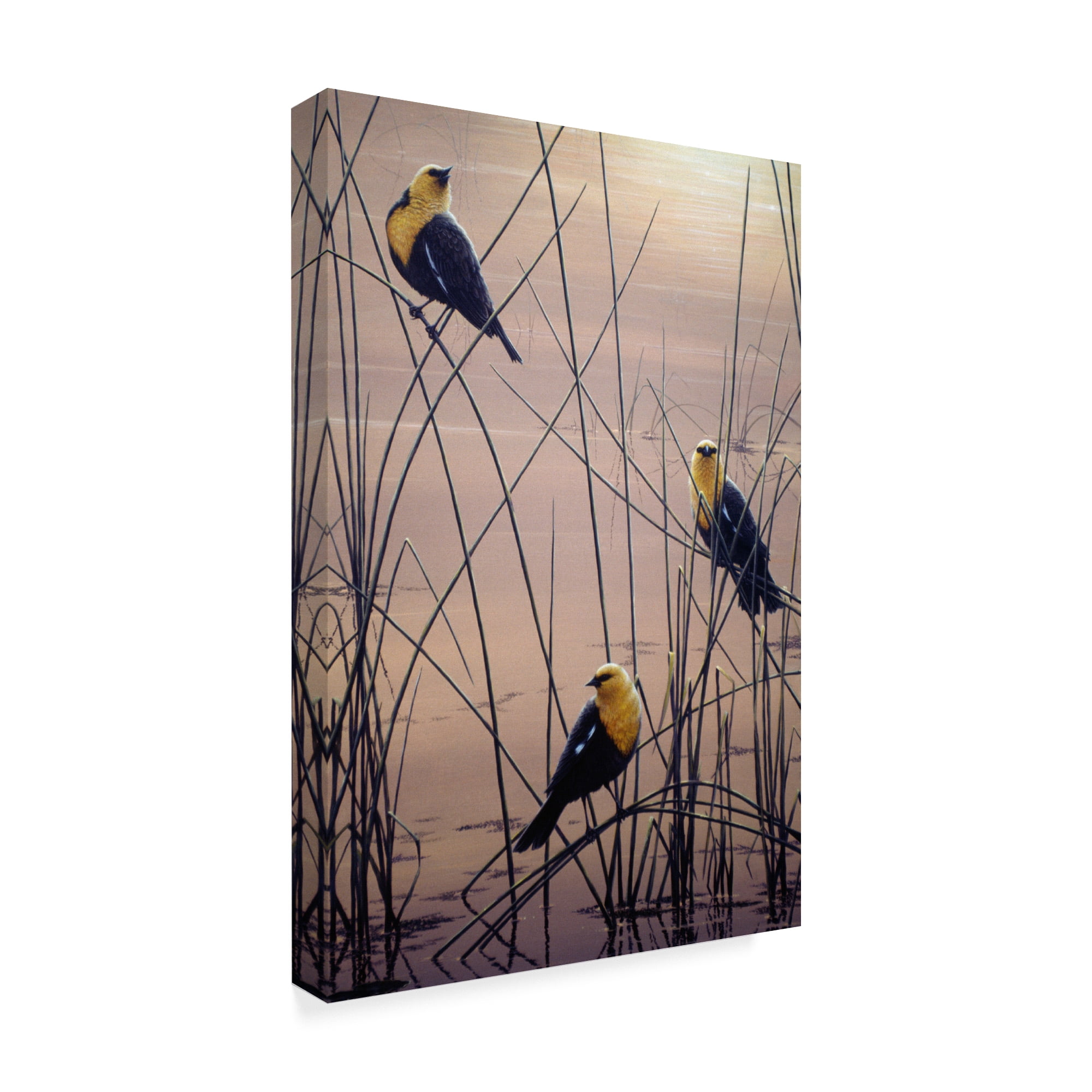 Trademark Fine Art 'Yellow Headed B Birds' Canvas Art by Jeff Tift