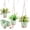 Green, variant on West Bay 3 Set Hanging Planter with Macrame Plant Hangers Indoor Outdoor, Hanging Baskets for Plant, Flower Self Watering Pots Holders (Green)