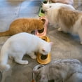 thumbnail image 4 of Pet Long Feeding Bowl Leakproof Cat Dog Food Feeder Pet Supplies For Multiple Kitten Puppy, 4 of 8