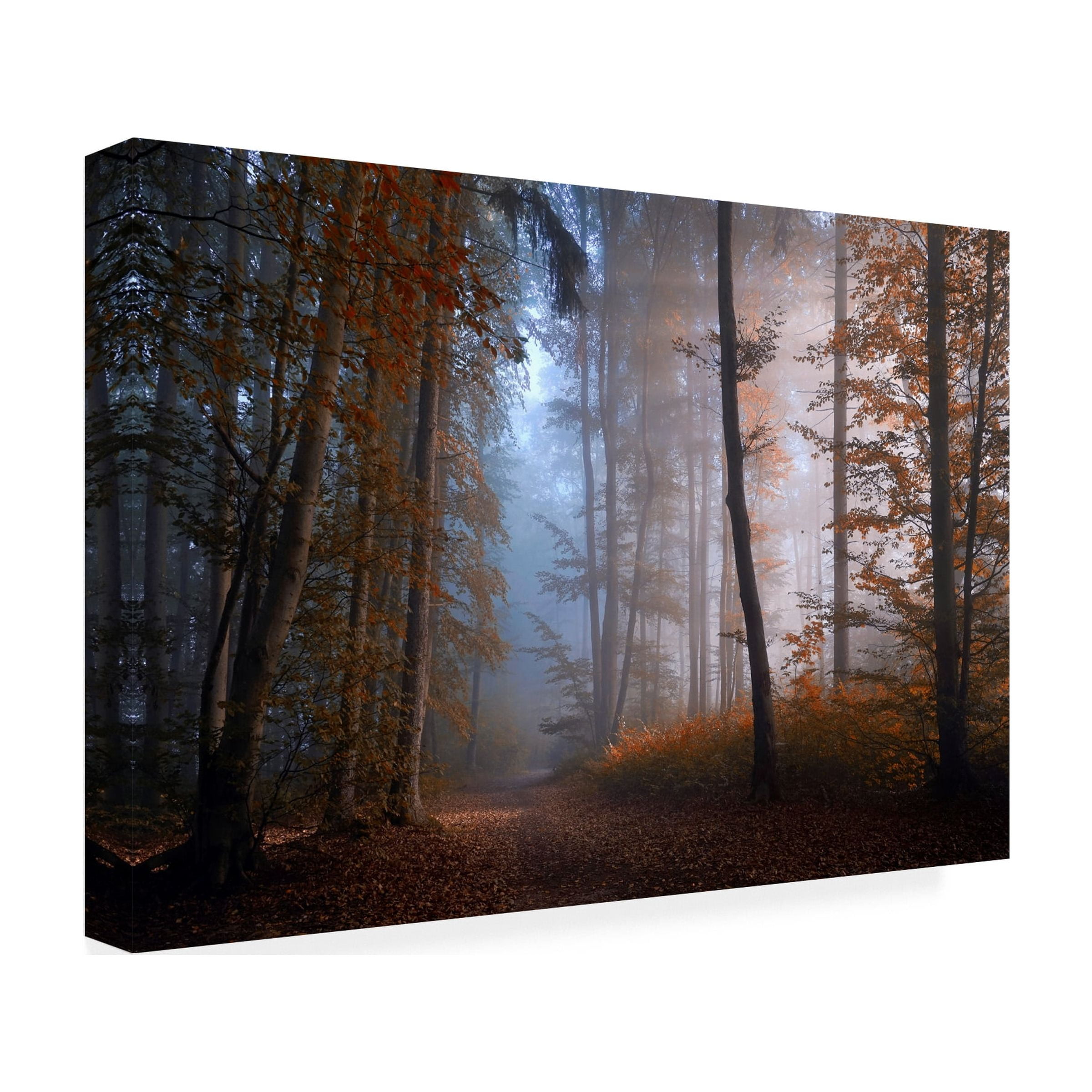 Norbert Maier 'Autumn Colors' Canvas Art