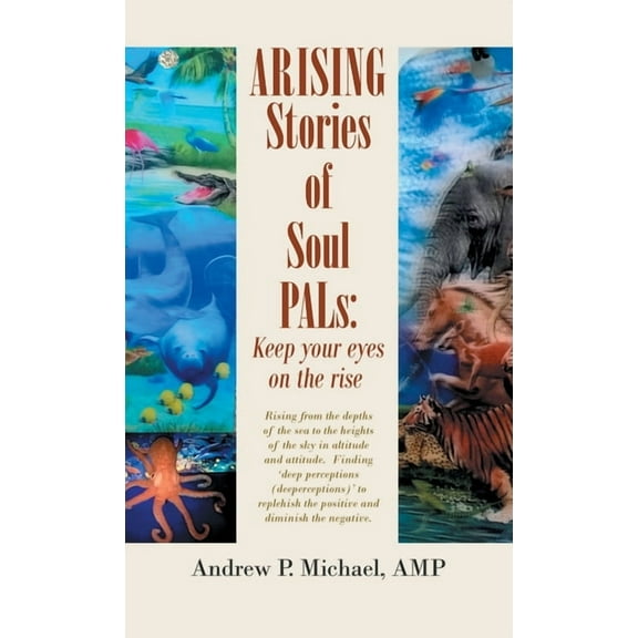 Arising Soul Pals : Keep Your Eyes on the Rise (Hardcover)