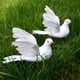 thumbnail image 4 of 4 Piezas de Plumas Artificiales Paloma Bnca, Adornos Decorativos para Pájaros Soledad Simulación de paloma, 4 of 7