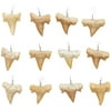 12 Pack Shark Teeth Necklace Pendants for DIY Crafts (0.8 x 1 In)