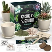 Succulent & Cactus Seed Kit for Planting – [Enthusiasts Favorites] - Cactus & Succulent Starter Kit – Premium Pack, 4 Planters, Drip Trays, Markers, Seeds Mix, Soil - DIY Gift Kits for Adults and Kids