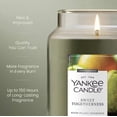 thumbnail image 4 of Yankee Candle SWEET TOGETHERNESS Original Large Scented Jar Candle, 22 oz - Juicy Pear & Warm Caramel, 4 of 4