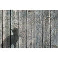 thumbnail image 2 of Murray Henderson Fine Art 18x13 White Modern Wood Framed Museum Art Print Titled - Cat And Mouse Shadow 2, 2 of 4