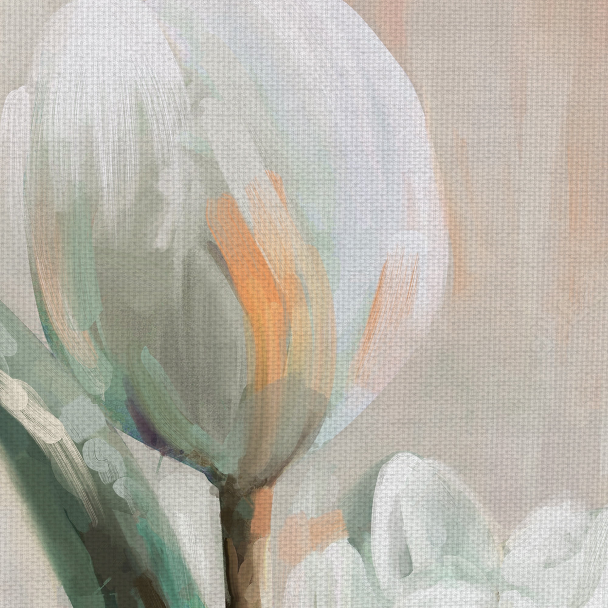 Masterpiece Art Gallery Tulip Duets I & II by Studio Arts Canvas Art Print Set of 2 (11" x 14")