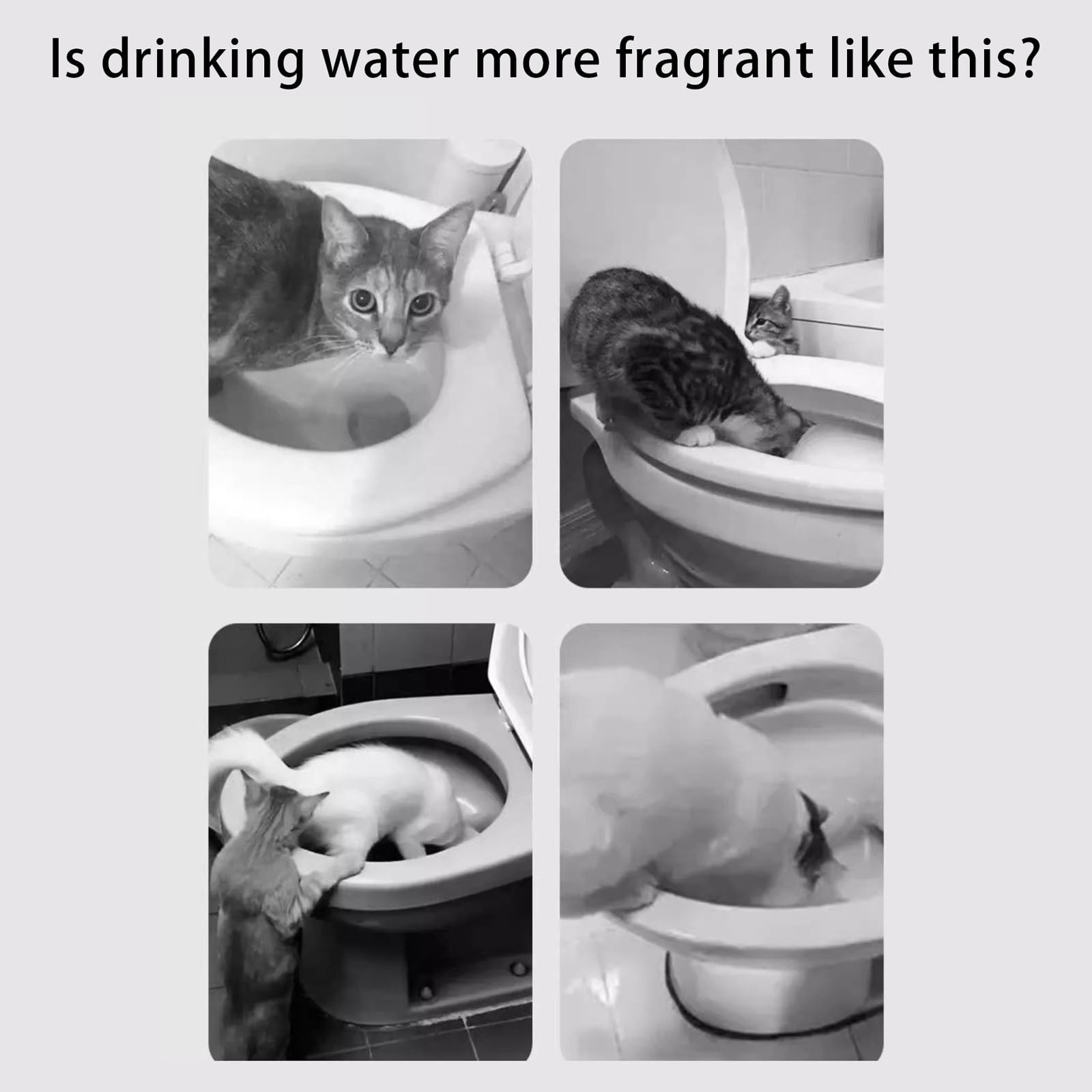 Pet Waterer Water Bowl Gravity Feeder Nolvety Detachable Toilet Shape Automatic Water Dispenser Drinking Fountain