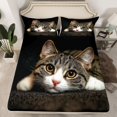 thumbnail image 2 of jejeloiu Cute Cat Animals Full Size Sheets,Gray White Kitten Bed Sheets For Girls Teens 4 Pieces, 2 of 7