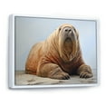 thumbnail image 2 of Designart "Home Of The Relaxed Walrus" Walrus Floater Framed Canvas Wall Art, 2 of 5