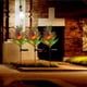 thumbnail image 2 of Lámpara de césped de pino resistente al agua Jardín--Exterior-LUCES -LUCES de CÉSPED-LUCES DECORACIÓN EXTERIOR Magideal Lámpara de césped de pino resistente al agua, 2 of 7