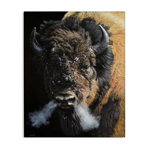 Stupell Industries Southwestern Bison Breathing Steam Canvas Art, 16 x 20, by Steve Burgess