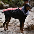 thumbnail image 3 of Cold Weather Dog Jacket Warm Comfortable Apparel For Medium Large Breed Dogs Durable Thick Material Outdoor Winter Coat With Enhanced Visibility, 3 of 3