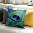 thumbnail image 3 of FCXZI Throw Pillow Cover Peacock Feathers Indoor Sofa Couch Linen 24x24in, 3 of 5
