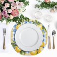 thumbnail image 5 of Ryvnso Lemon and Checkered Grid Pattern Round Plate Mats Dining Table Placemat Set of 6 for Holiday Decoration, 5 of 7