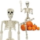 thumbnail image 2 of Decoraciones de esqueleto de Halloween de 36 pulgadas, esqueleto posable de Halloween de 3 pies, huesos de cuerpo humano realistas de plástico con articulaciones móviles para decoración de fiesta de H, 2 of 4