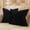 Black, variant on Nmkwnr 2 Pack Velvet Super Soft Cushion Case with Zipper, Solid Color Decorative Square Throw Pillow Covers Set for Sofa Bedroom Car, 16 x 16 inch