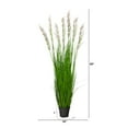 thumbnail image 4 of Nearly Natural 4.5’ Plum Grass Artificial Plant, 4 of 4