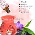 thumbnail image 6 of Abbey & Sullivan Ginger Peach 1 oz Fragrance Oil, 6 of 9