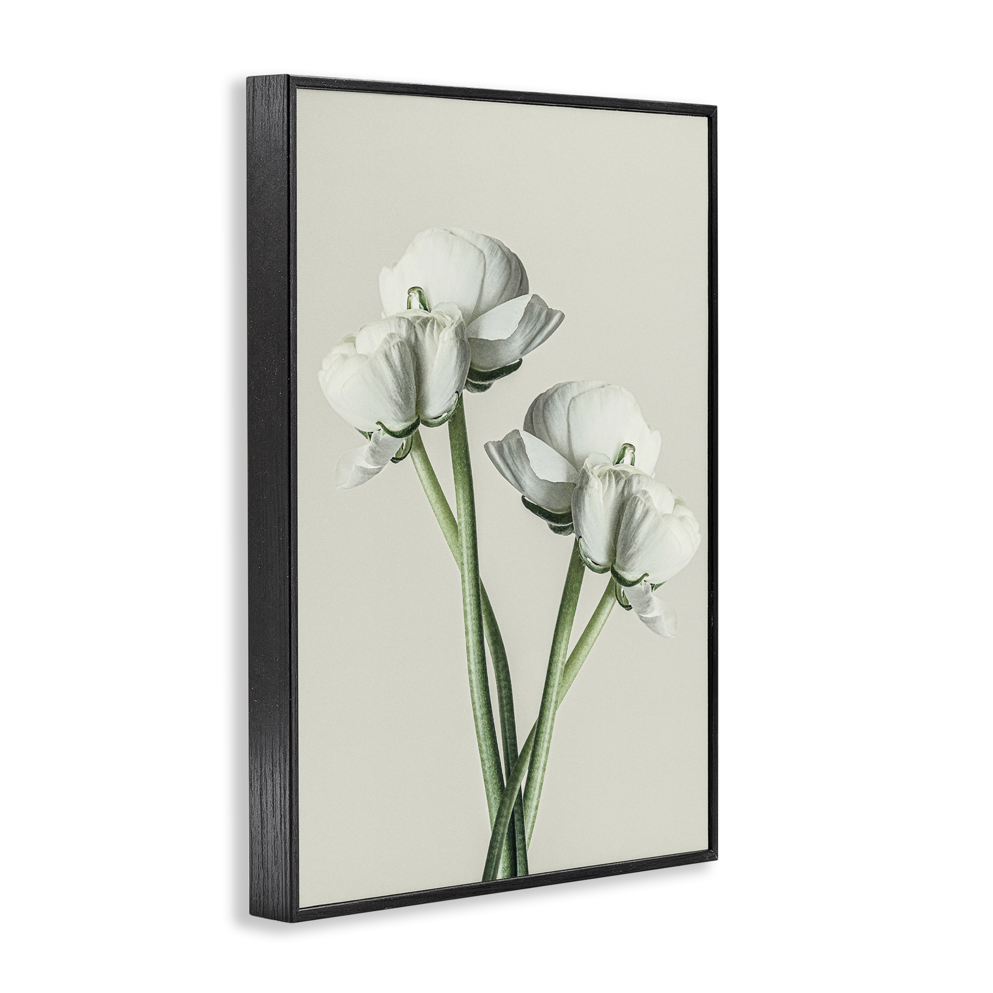 Stupell Industries White Flower Bundle Botanical & Floral Photography Black Framed Art Print Wall Art, 16 x 24
