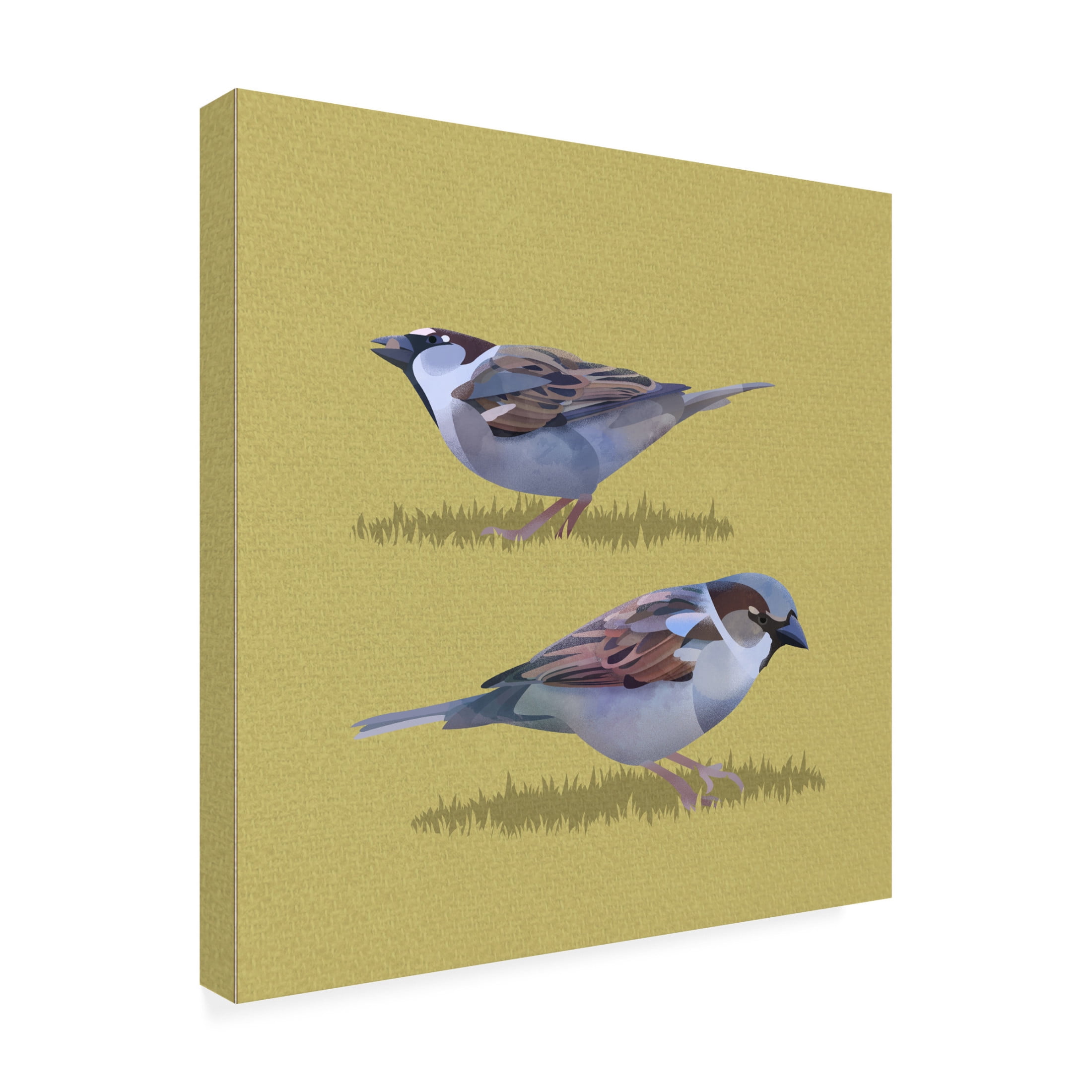 Trademark Fine Art Franco Caballero Sparrows Canvas Wall Art