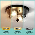 thumbnail image 6 of HKMGT Seeded Glass Ceiling Light, 2-Light Flush Mount Fixture, Dimmable, Matte Black, for Kitchen Hallway Bedroom Bathroom(2-Pack), 6 of 10