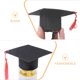 thumbnail image 3 of KAKOWELY 2 birretes de graduación de animales pequeños, mini sombreros de soltero con borlas, sombreros de conejillo de indias para disfraz., 3 of 5
