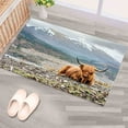 thumbnail image 5 of Highland Cow Rug, Farmhouse Rug, Trendy Rug, Animal Rug, Classic Rug, Home Decor Rug, Machine Washable Rug, Popular Rug, Luxury Rug, 3.3'x6.5' - 100x200 cm, 5 of 8
