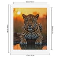 thumbnail image 2 of Paint By Numbers Kit for Adults Beginner - Sunset Leopard Reflection Water DIY Canvas Painting Kits for Adults, Frameless Paint By Number for Adults for Home Wall Decor 16x20 Inch, 2 of 7