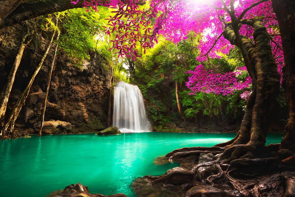 Beautiful Waterfall in Tropical Forest Photo Photograph Cool Wall Decor Art  Print Poster 36x24