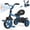 Blue, variant on WonderStone Folding Toddler Tricycle, Kids Bike with Music & Light, Toddler Trike with Basket, Gifts & Toys for 2-5 Year Old Boys & Girls, Red