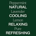 thumbnail image 4 of Plant Therapy Lemon, Lavender and Peppermint Essential Oil Set 10 mL (1/3 oz) 100% Pure, Undiluted, Natural Aromatherapy, 4 of 7