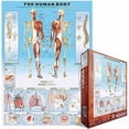 thumbnail image 3 of The Human Body 1000-Piece Puzzle, 3 of 4