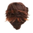 thumbnail image 2 of Hombres Corta Peluca Marrón, Hombres Corta Cabello Sintético Peluca Fácil de Mantener el Forro Transpirable Elegante Para Ancianos medios para Disfraz de Cosplay, 2 of 7