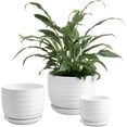 thumbnail image 4 of MyGift Assorted Round White Ceramic Plant Pot (3 Piece), 4 of 6