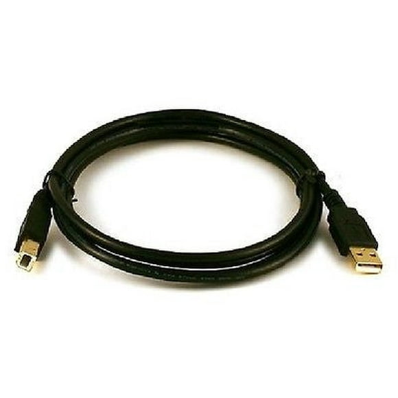 USB 2.0 A Male to B Male Cable - 15ft