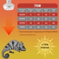 thumbnail image 5 of HARTOMPET 75W Intense Basking Spot Lamp – UVA Heat Bulb for Bearded Dragons, Turtles & Reptiles, 5 of 8