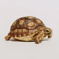 thumbnail image 1 of Tortue Mignonne - Peinture Diamant DIY, 1 of 6