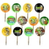 Plants vs Zombies 2 Video Game Double-Sided Images Cupcake Picks Cake Topper -12