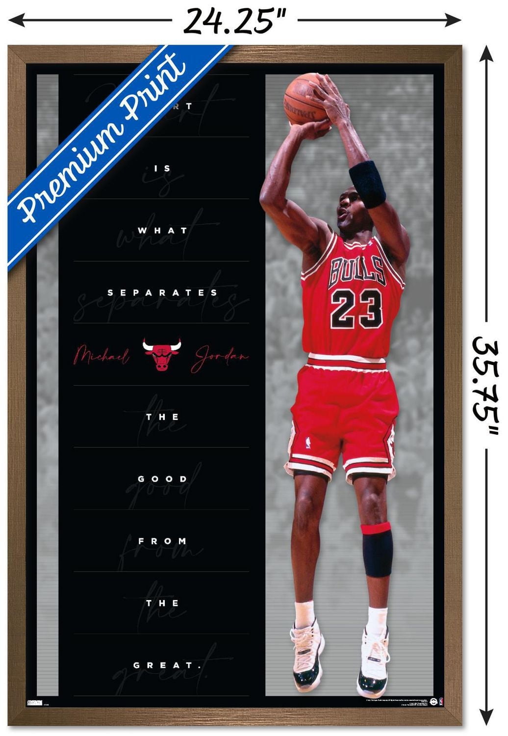 Michael Jordan - Coeur