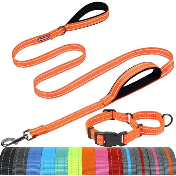 Eryueer Dog Leash Twingrip Double Handle Dog Leash with Traffic Handle Control & 2 Loop for Walking & Training, Reflective Heavy Duty for Puppy Pet Collar, 5 ft. x 1 in. M, Orange